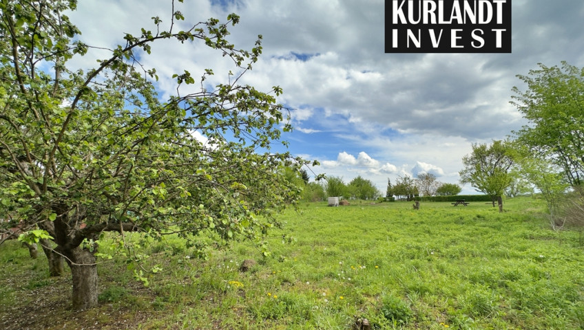 Mieszkanie Sprzedaż Białowieża