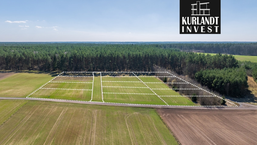 Działka Sprzedaż Lubiewo